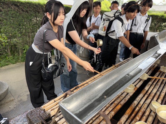 錦和高中115年度赴日本國際教育旅行(第10張)
